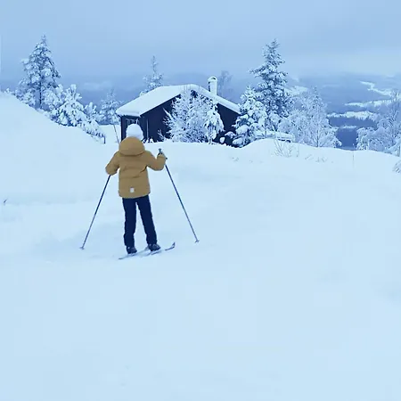 Prázdninový dům Private With Stunning Views Near Oslo *