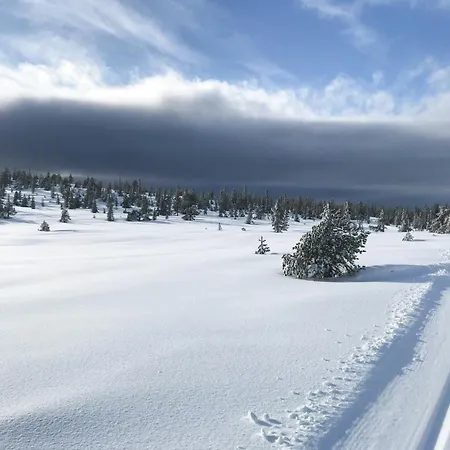 Private With Stunning Views Near Oslo Tatil Evi
