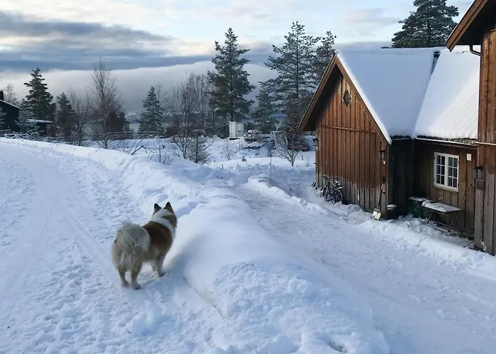 Private With Stunning Views Near Oslo *