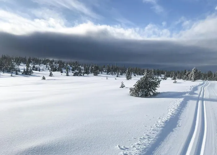 Private With Stunning Views Near Oslo Prázdninový dům